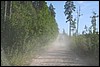 IMG_0407.JPG