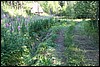 IMG_0427.JPG