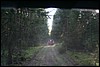 IMG_0428.JPG