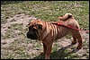 IMG_0569.JPG