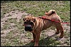 IMG_0570.JPG