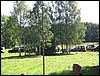 IMG_7147.JPG