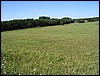 IMG_7153.JPG