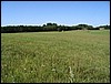 IMG_7154.JPG