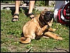 IMG_7165.JPG