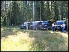 IMG_7176.JPG