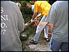 IMG_7193.JPG
