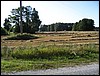 IMG_7198.JPG