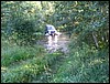 IMG_7206.JPG