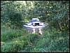 IMG_7207.JPG