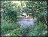 IMG_7210.JPG