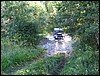 IMG_7212.JPG