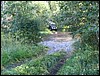 IMG_7214.JPG