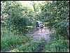 IMG_7215.JPG