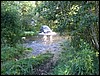IMG_7224.JPG