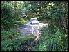 IMG_7225.JPG
