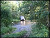 IMG_7226.JPG