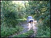 IMG_7227.JPG