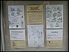 IMG_7277.JPG