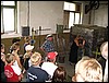 IMG_7285.JPG