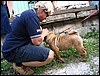 IMG_7287.JPG