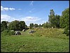 IMG_7300.JPG