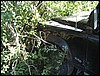 IMG_7313.JPG