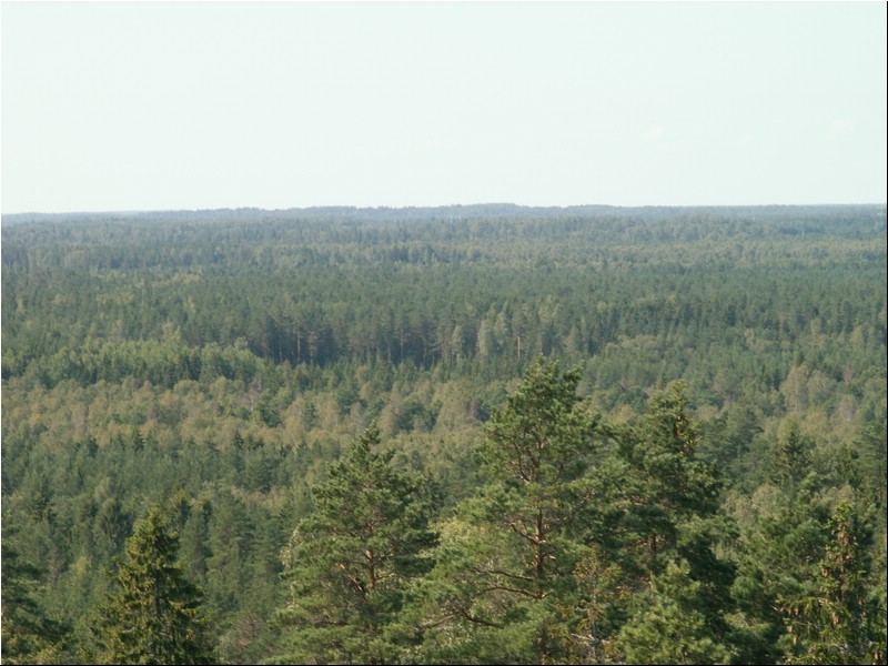 PICT0157.JPG