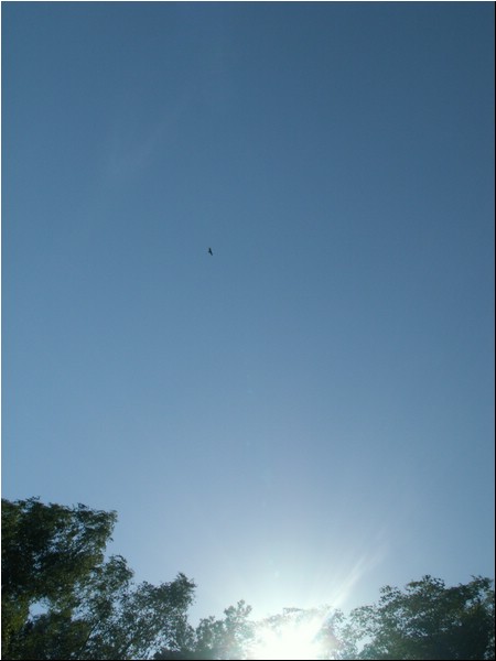 PICT0177.JPG