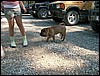 PICT0150.JPG