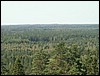 PICT0157.JPG