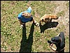 PICT0160.JPG
