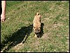 PICT0168.JPG