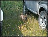 PICT0170.JPG