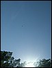PICT0177.JPG