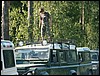 PICT0200.JPG