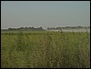 PICT0216.JPG