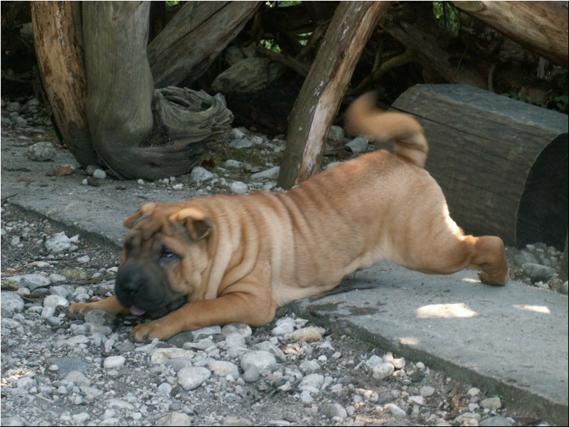 PICT0010.JPG