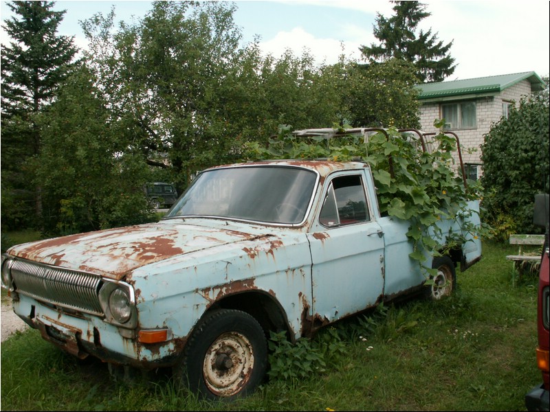 PICT0078.JPG