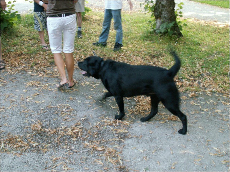 PICT0086.JPG