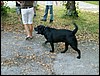 PICT0086.JPG
