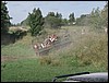 P8050046.JPG