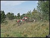P8050047.JPG