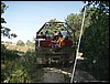 P8050048.JPG