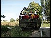 P8050049.JPG