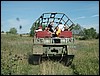 P8050051.JPG