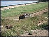 P8050053.JPG
