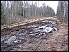 IMG_8597.JPG