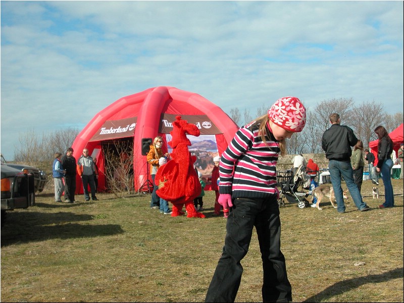 Land Roveri synna 020.JPG
