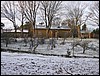 IMG_7466.JPG